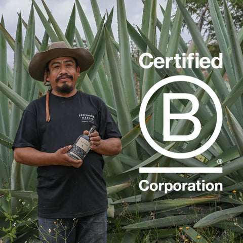 El Camino Del Pensador Joven Ensamble Mezcal