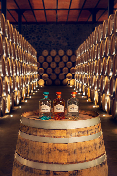 Volcán De Mi Tierra Tequila Collection