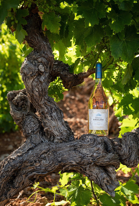 Château D'esclans Cotes de Provence Rosé