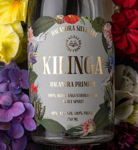 Kilinga Bacanora Silvestre