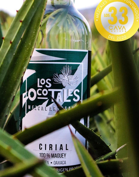 Los Ocotales Cirial Mezcal