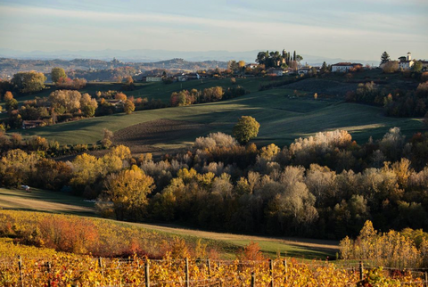 BAVA Barolo Scarrone 2015 Red Wine