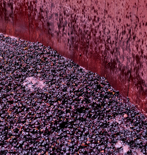 Louis Latour Volnay 2019