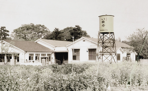 Iichiko Japanese Shochu Saiten