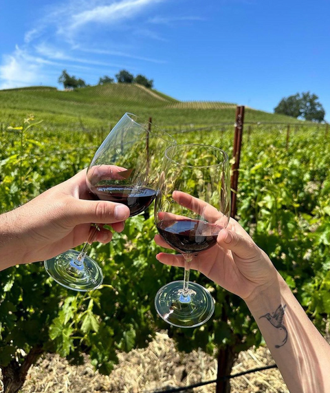 Justin Savant Paso Robles Red Blend 2020