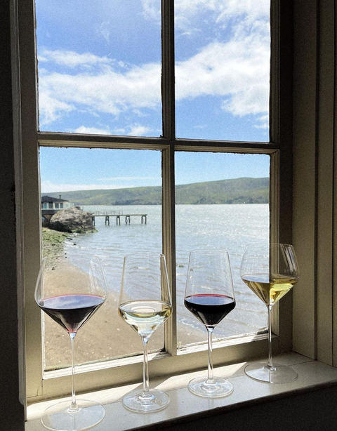 Decoy Limited Sonoma Coast Chardonnay 2020