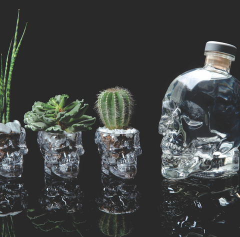 Crystal Head Skull Shot Glass