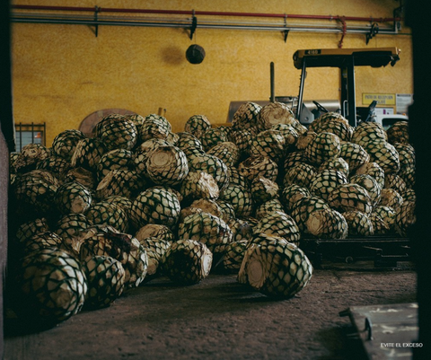 Siete Leguas De Antano Extra Añejo Tequila