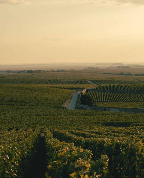 Veuve Clicquot La Grande Dame 2015