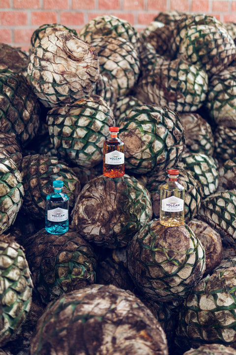 Volcán De Mi Tierra Reposado Tequila