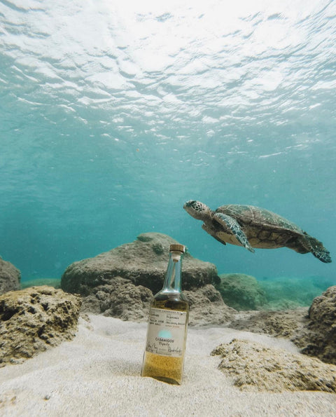 Casamigos Reposado Tequila 375ml