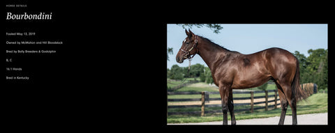 Pinhook 2022 High Proof Bourbon Bourbondini