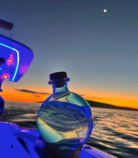 Ocean Vodka Organic