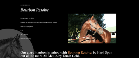 Pinhook Flagship Bourbon Resolve 2023 Kentucky Straight Bourbon