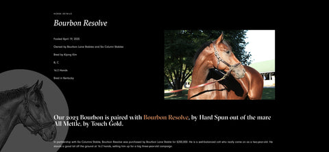 Pinhook 2023 Bourbon Resolve (Flagship Bourbon)