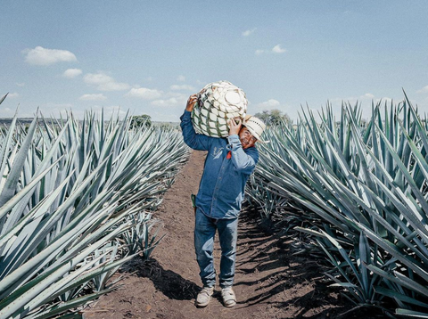 Real Del Valle Reposado Tequila