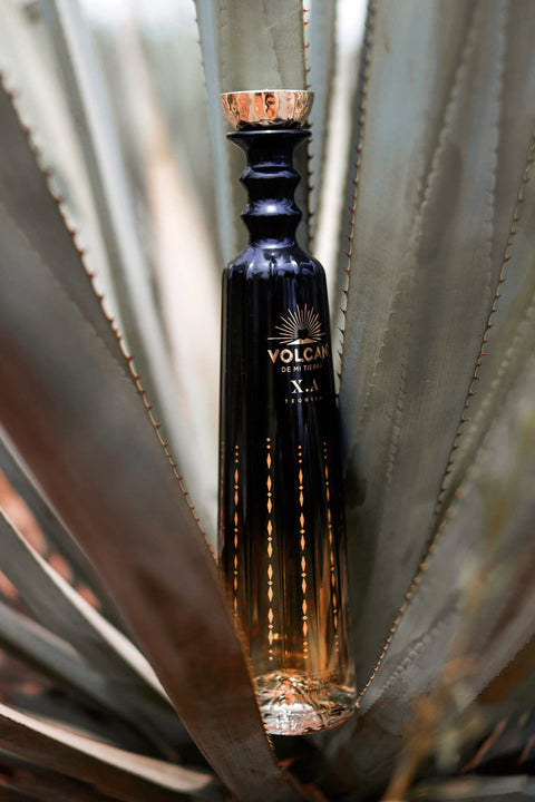 Volcán De Mi Tierra XA Tequila (Light Up Bottle)
