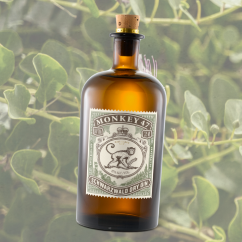 Monkey 47 Distiller's Cut 2024 Edition Gin
